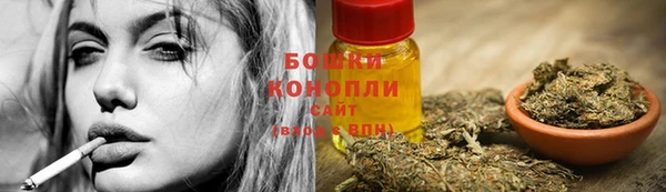 дмт Нея
