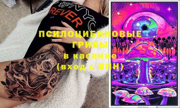 дмт Нея
