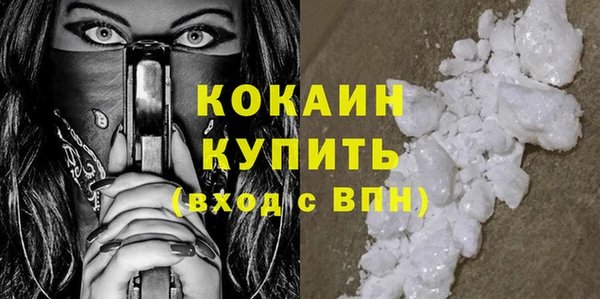 шишки Надым